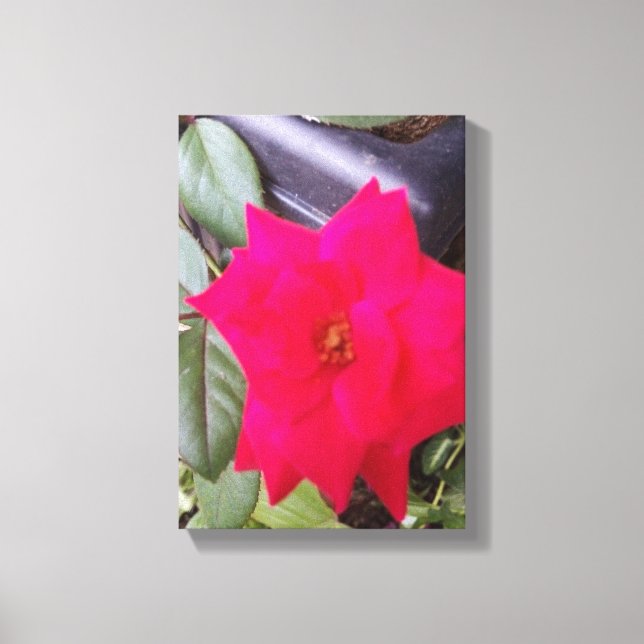 Foto Canvass Art Leinwanddruck (Vorderseite)