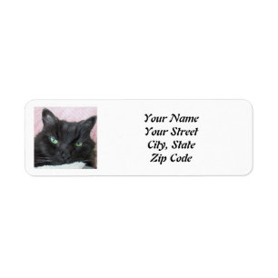 Foto Cat