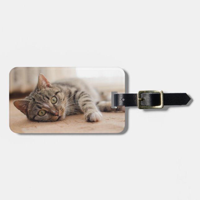 Foto Cat Luggage Tag Gepäckanhänger (Vorderseite horizontal)