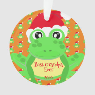 Foto Christmas Orange Frosch Weihnachtsmannmütze M Ornament