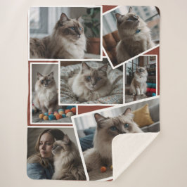 Foto Cluster Brown - 7 verstreute Fotos Sherpadecke