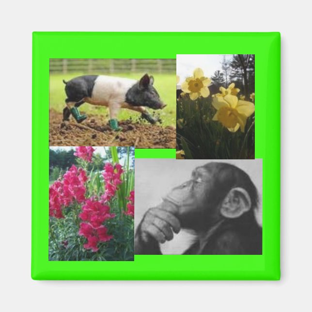 Foto-Collage Magnet (Vorne)