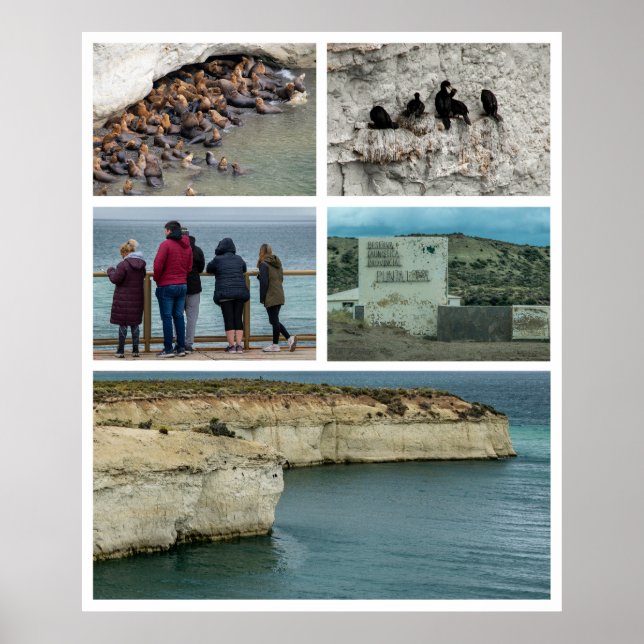 Foto-Collage Punta loma, Provinz Chubut, argenti Poster (Vorne)