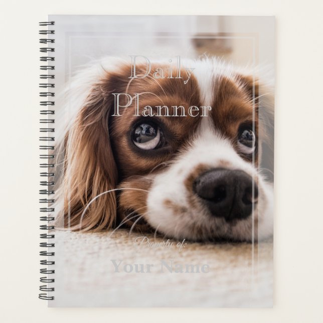 Foto Daily Planner mit einem Welpen - HAMbWG Planer (Vorderseite)