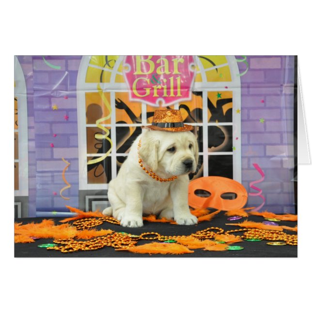 Foto der Aufregungs-Wochen-5 (Vorderseite (Horizontal))