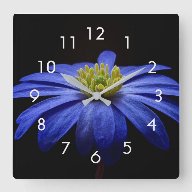 Foto der blauen Blume auf der schwarzen Wall-Uhr Quadratische Wanduhr (Vorderseite)