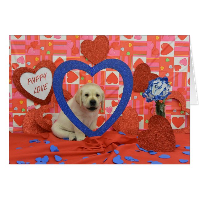 Foto der Blizzard-Wochen-6 (Vorderseite (Horizontal))