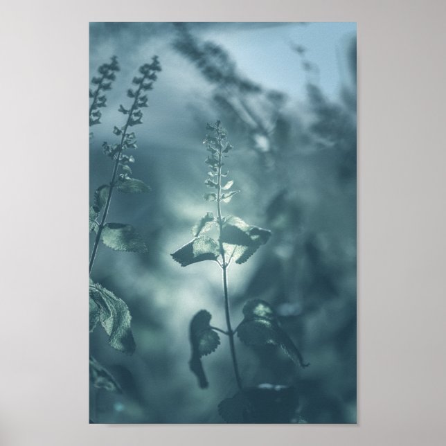 Foto der Blumenart Poster (Vorne)