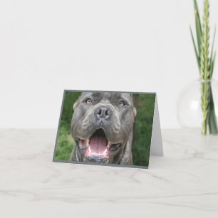 Foto der Cane Corso Card Karte
