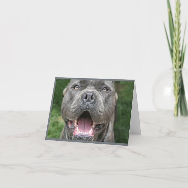 Foto der Cane Corso Card Karte (Vorderseite)