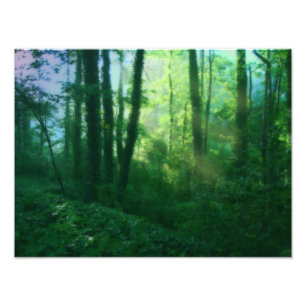 Foto der Fruchtbarkeit