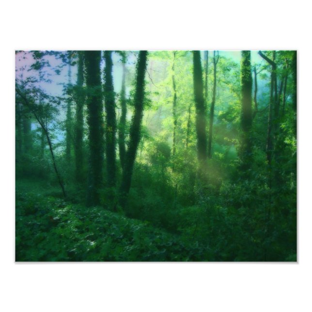 Foto der Fruchtbarkeit (Vorne)