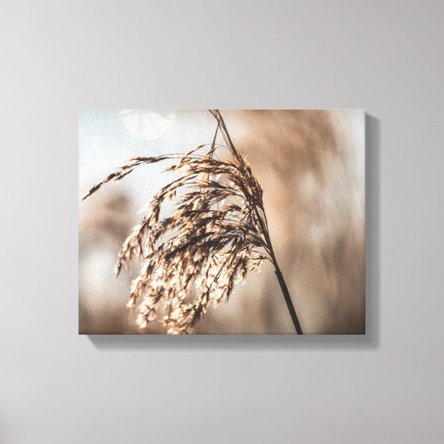 Foto der gewohnten Natur Leinwanddruck (Vorderseite)