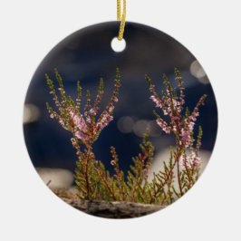 Foto der Heilnatur Keramik Ornament