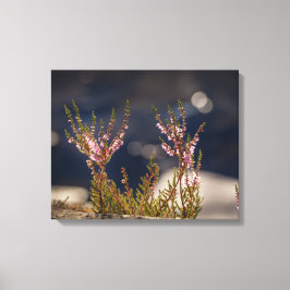 Foto der Heilnatur Leinwanddruck