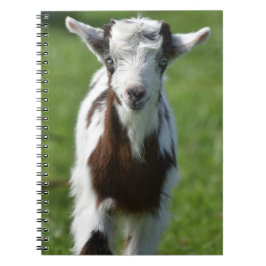 Foto der Jungziege Notizblock