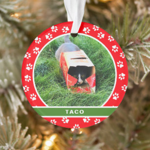Foto der Katze Weißes Paw Rotes Grünes Holiday M Ornament