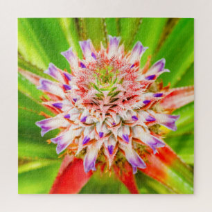 Foto der nahen Blume Puzzle