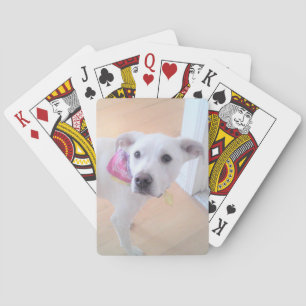 Foto der Niedlichen Sweet White Puppy Face Spielkarten
