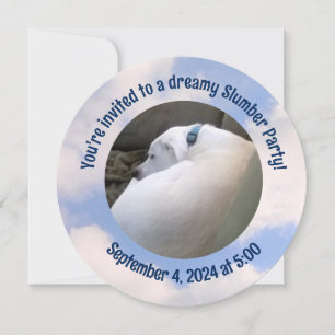 Foto der Party Einladung für Hunde schlafend Schlu