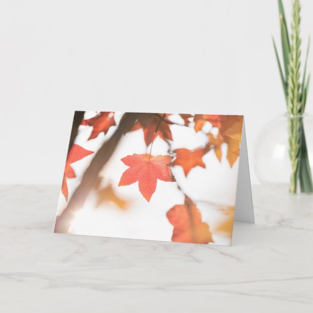Foto der Roten Herbstleaf Karte (Vorderseite)