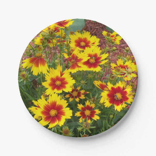 Foto der roten und gelben Coreopsis-Blume auf Pappteller (Vorderseite)