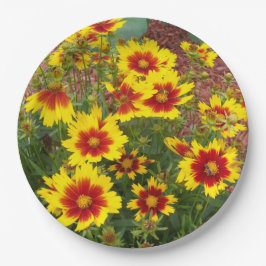 Foto der roten und gelben Coreopsis-Blume auf Pappteller