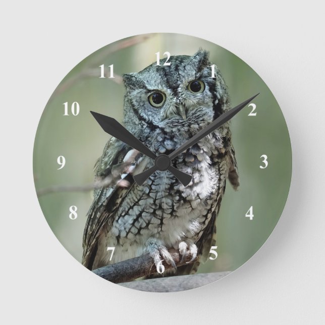 Foto der Sektion "Screech Owl Tree" Runde Wanduhr (Vorderseite)