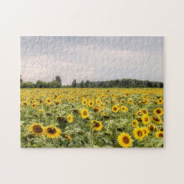 Foto der Sonnenblumen Puzzle