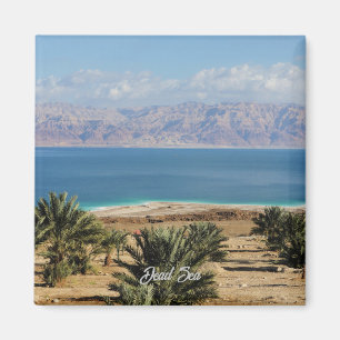 Foto der Totenmeerlandschaft Magnet