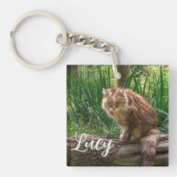 Foto der Wilden Katze / Katzensprung