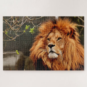 Foto des braunen Löwen Puzzle