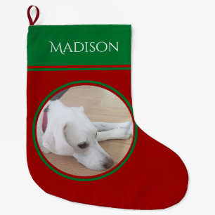 Foto des Friedlichen weißen Hundes mit Rotkehlchen Großer Weihnachtsstrumpf