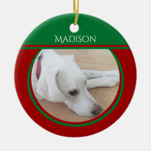 Foto des Friedlichen weißen Hundes mit Rotkehlchen Keramik Ornament