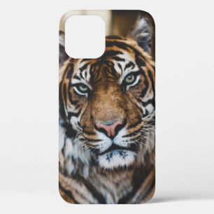 FOTO DES GESICHTS VON TIGER Case-Mate iPhone HÜLLE