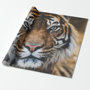 Foto DES GESICHTS VON TIGER Geschenkpapier