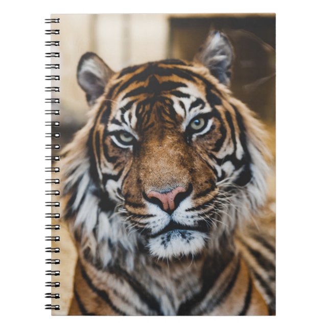 FOTO DES GESICHTS VON TIGER NOTIZBLOCK (Vorderseite)