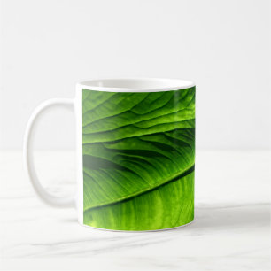 Foto des grünen Blattes Kaffeetasse