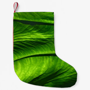 Foto des grünen Blattes Kleiner Weihnachtsstrumpf