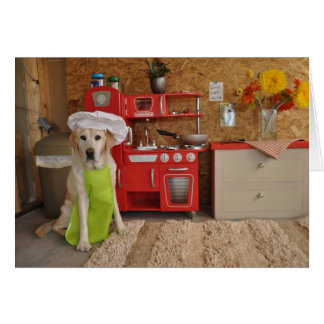 Foto des Hundes mit dem Hut des Koch an