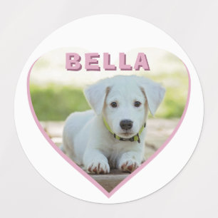 Foto des Hundes Name Rosa Herzstück Etiketten