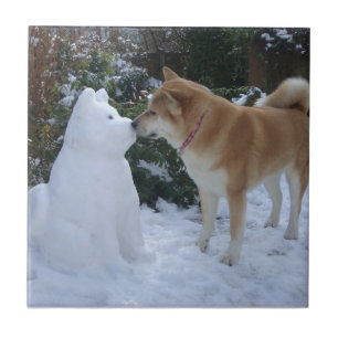 Foto des niedlichen akita küssen Schneemann akita  Fliese