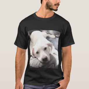 Foto des Niedlichen hundemischen Hundes, der mit d T-Shirt