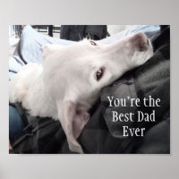 Foto des Niedlichen Hundes Bester Vater je