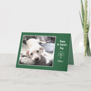 Foto des Niedlichen Hundes mit bestem Vater Karte