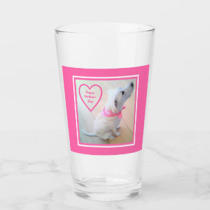Foto des Niedlichen Hundes mit rosa Skarvenschnupf Glas