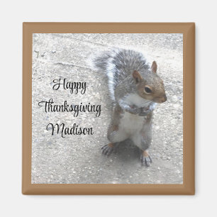 Foto des Niedlichen kleinen Eichhörnchens mit Fluf Magnet