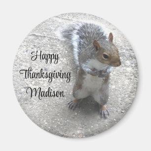 Foto des Niedlichen kleinen Eichhörnchens mit Fluf Magnet