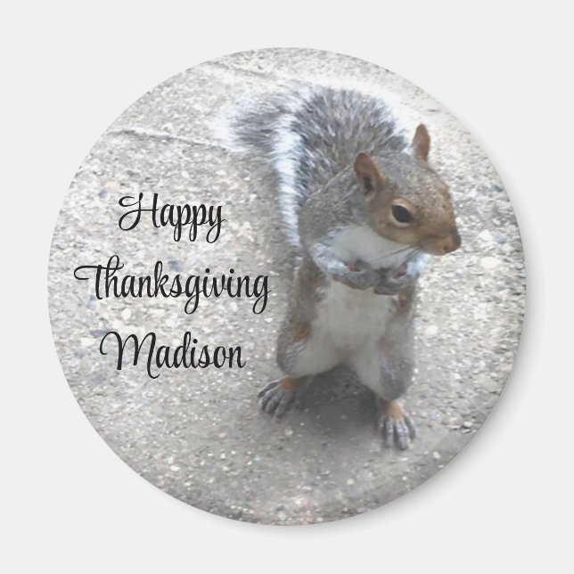 Foto des Niedlichen kleinen Eichhörnchens mit Fluf Magnet (Vorne)