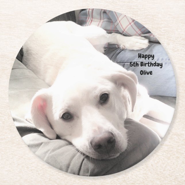 Foto des Niedlichen, müde weißen Hundes auf Couch  Runder Pappuntersetzer (Vorderseite)